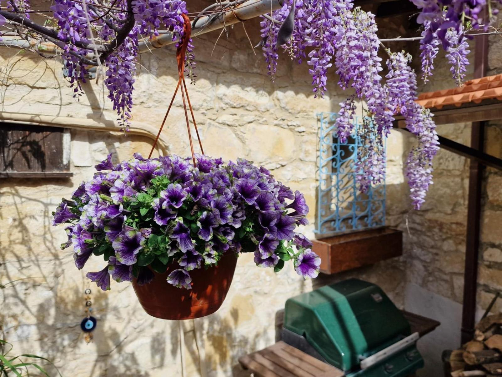 Kalimera A Lovely 1-Bedroom Rental With Ensuite And Kitchen Limassol Exterior photo